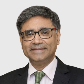 Shri Vikram Misri